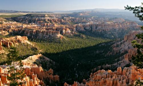 Bryce Canyon View