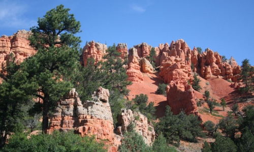 Utah Red Canyon