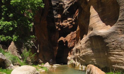 East Fork Virgin River Zion
