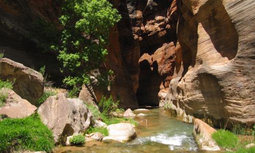 Utah Virgin River East Fork