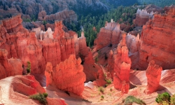 Hoodoos and Hiking Trail in Bryce Canyon National Park Hoodoos and Hiking Trail in Bryce Canyon National Park