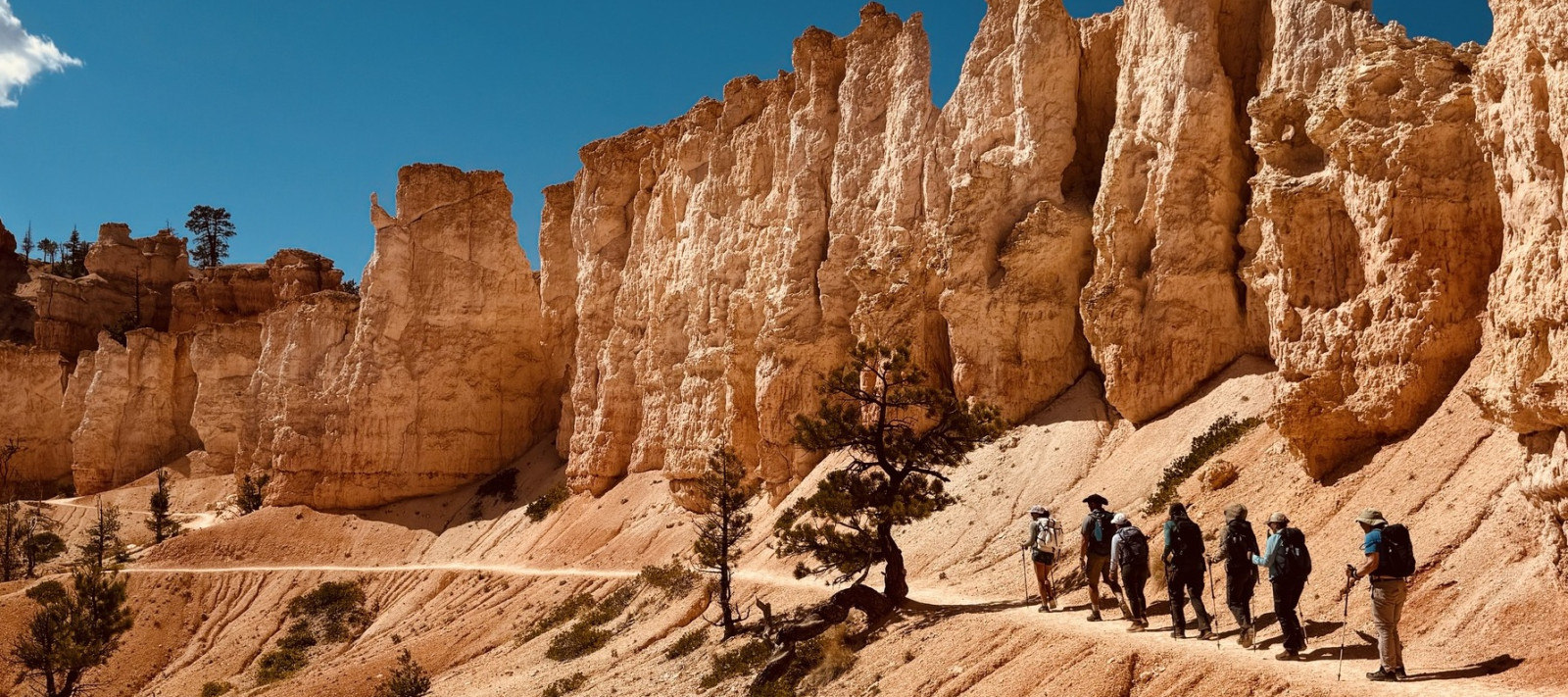 Wildland Trekking Company — Bryce Canyon NP, UT