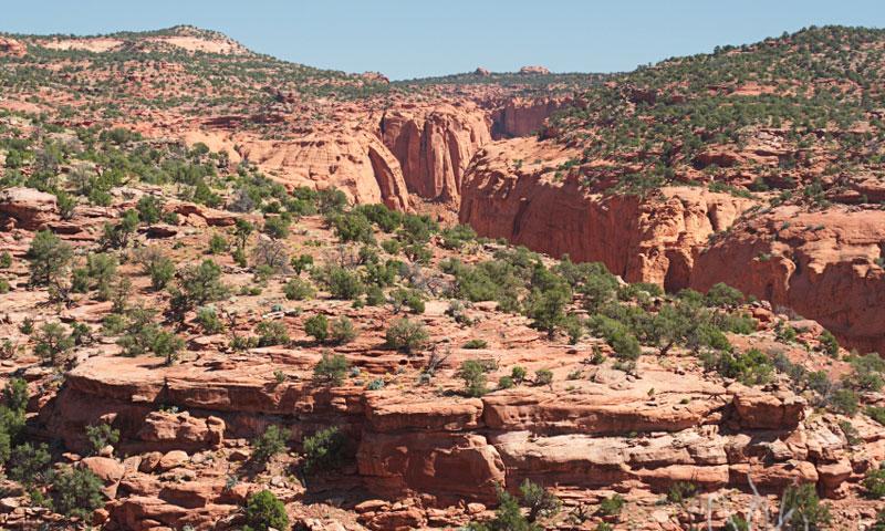 Long Canyon along Burr Trail Road