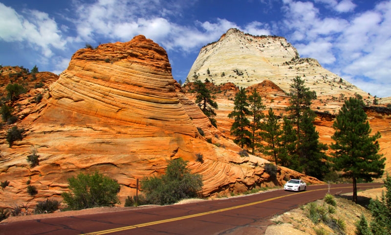 Scenic Drive through Zion National Park