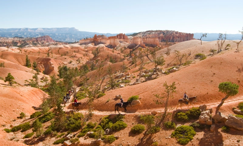 Horseback Riding in Bryce Canyon National Park