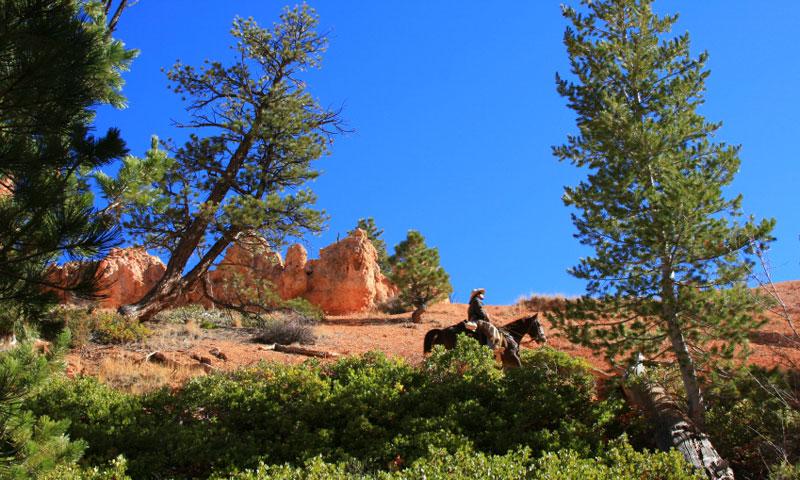 Horseback Riding through Bryce Canyon