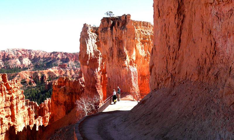 Navajo Trail in Bryce Canyon