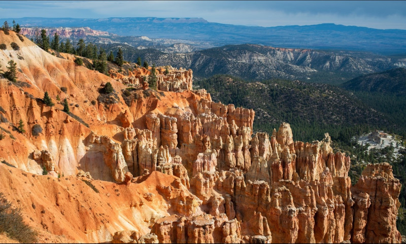 ponderosa_point