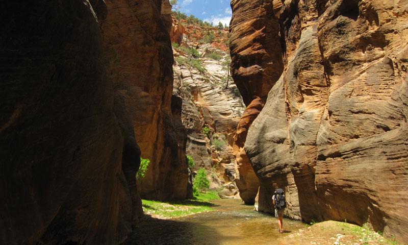Hiking down the East Fork of the Virgin River near Zion