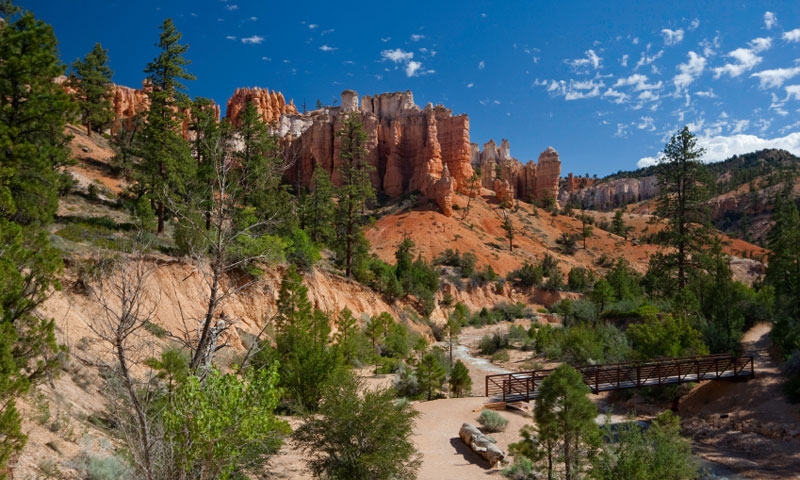 Hiking Trail through Mossy Cove in Bryce Canyon National Park