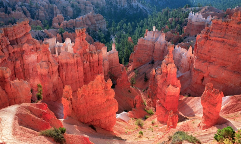 Hoodoos and Hiking Trail in Bryce Canyon National Park