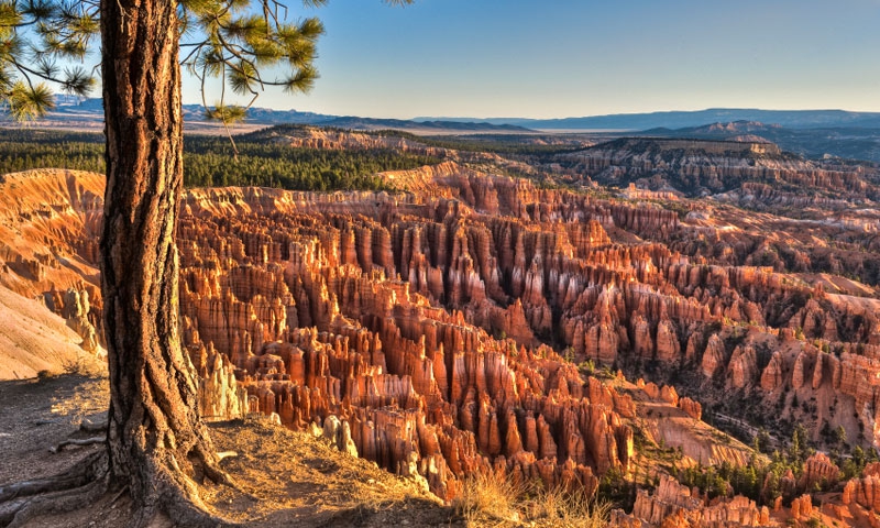 Overlooking Bryce Canyon National Park