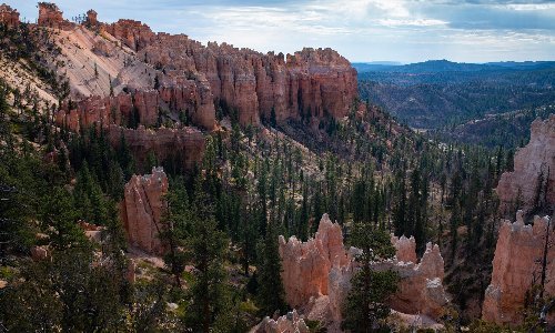 Swamp Canyon