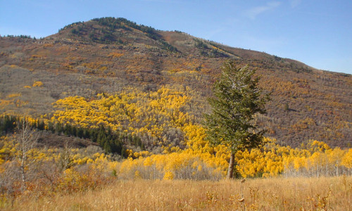 Park City UT
