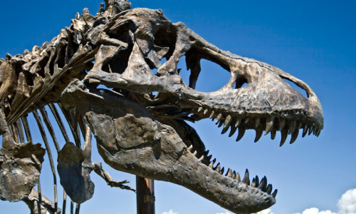 Parowan Historic Museums