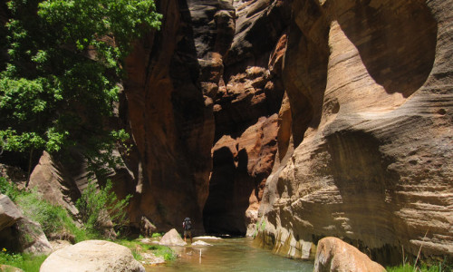 East Virgin River