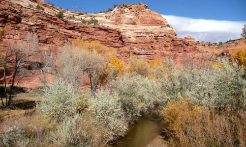 Escalante River