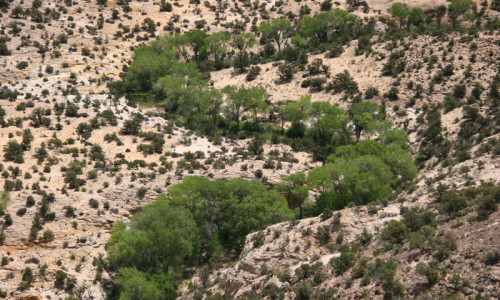 Escalante State Park