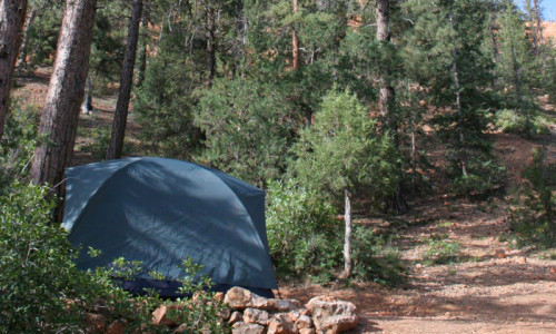 Camping & RV