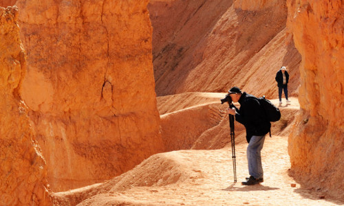 Guided Tours