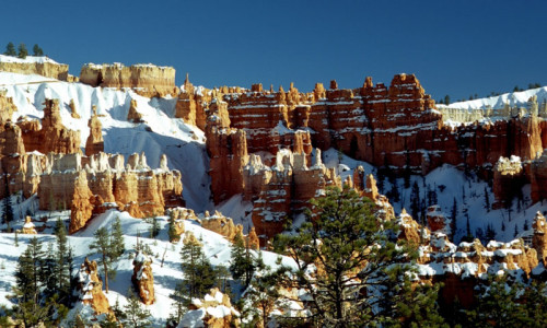 Snowshoeing